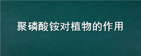 聚磷酸铵对植物的作用 磷酸二铵对植物作用