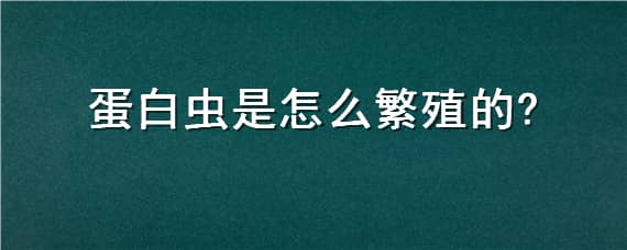 蛋白虫是怎么繁殖的（蛋白虫怎样产卵）