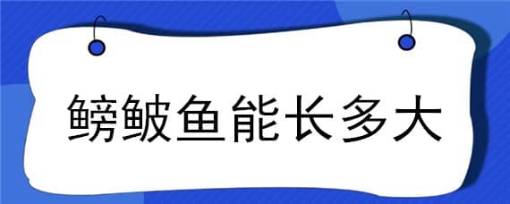 鳑鲏鱼能长多大 鮰鱼能长多大