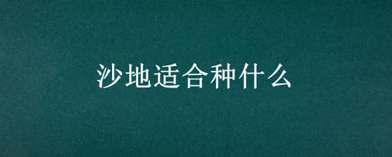 沙地适合种什么（沙地适合种什么花）