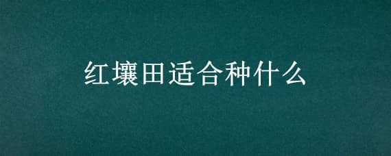 红壤田适合种什么（红壤田适合种什么植物）