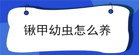 锹甲幼虫怎么养 锹甲幼虫怎么养?