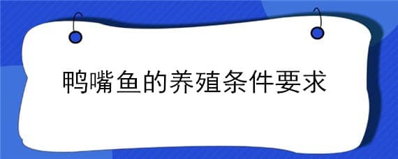 鸭嘴鱼的养殖条件要求 鸭嘴鱼的养殖条件要求是什么