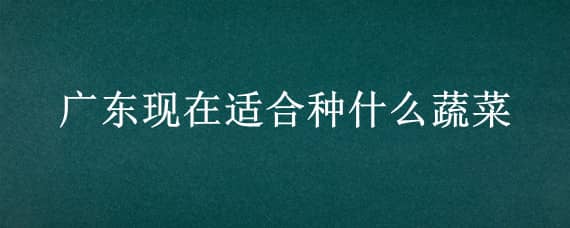 广东现在适合种什么蔬菜（广东现在适合种什么蔬菜水果）