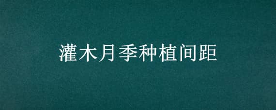 灌木月季种植间距（灌木月季种植间距多少）