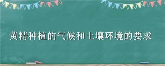 黄精种植的气候和土壤环境的要求（黄精种植气候环境条件）