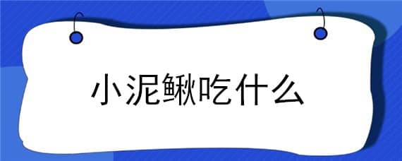 小泥鳅吃什么 小泥鳅吃什么长得快