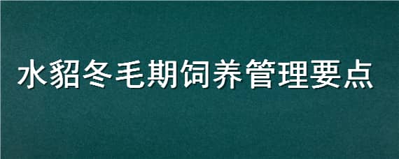 水貂冬毛期饲养管理要点 水貂冬毛期饲养管理要点照片