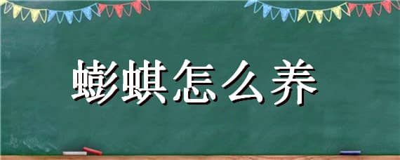 蟛蜞怎么养 蟛蜞怎么养在家里