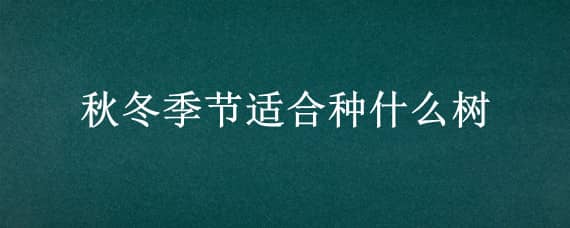 秋冬季节适合种什么树（秋冬季节适合种什么树木）