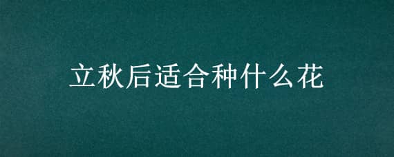 立秋后适合种什么花 立秋后种什么花好