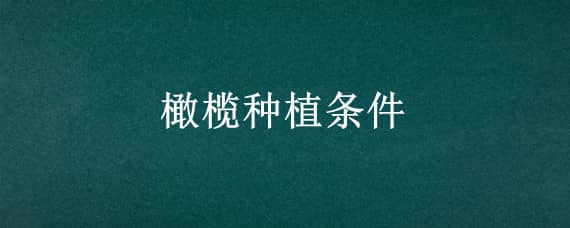 橄榄种植条件（橄榄种植条件及地区）