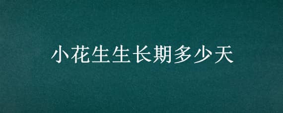 小花生生长期多少天（花生生长期几个月）