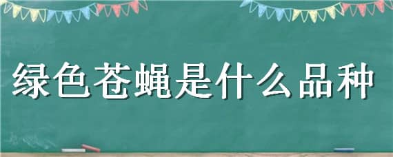 绿色苍蝇是什么品种 绿色的苍蝇是什么品种