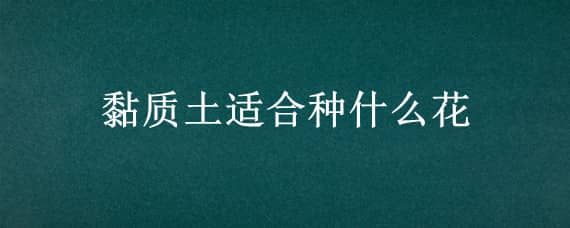 黏质土适合种什么花 黏质土适合种什么植物?