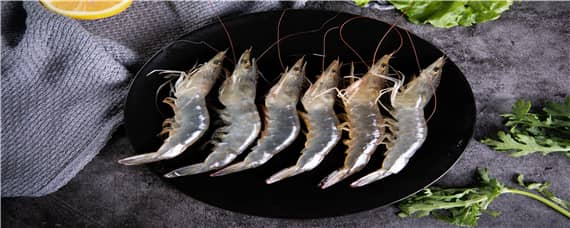 黑虎虾养殖技术 黑虎虾 养殖