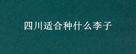 四川适合种什么李子（四川适合种什么李子树）