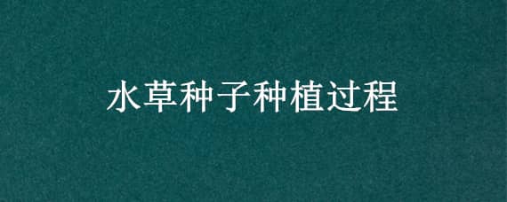 水草种子种植过程 水草种子生长过程