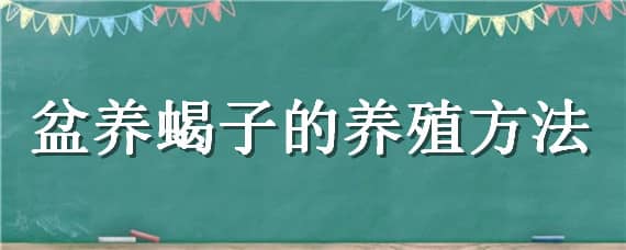 盆养蝎子的养殖方法（蝎子盆养视频）