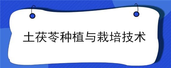 土茯苓种植与栽培技术（土茯苓种植与栽培技术视频）