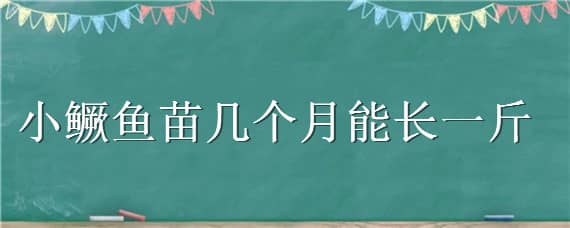 小鳜鱼苗几个月能长一斤 小鲈鱼苗几个月能长一斤