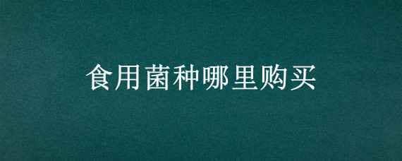 食用菌种哪里购买 食用菌种哪里购买安全