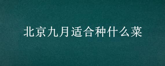 北京九月适合种什么菜 北京9月份可以种什么菜