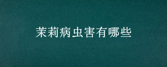 茉莉病虫害有哪些 茉莉的病虫害