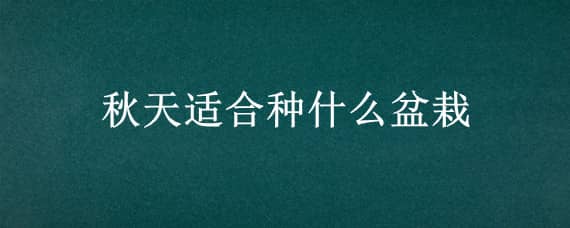 秋天适合种什么盆栽（秋天适合种什么盆栽水果）