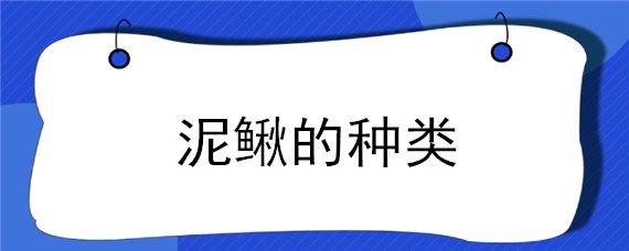 泥鳅的种类 泥鳅的种类有多少