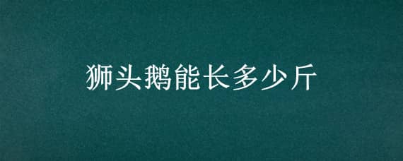 狮头鹅能长多少斤（广东狮头鹅能长多少斤）