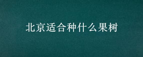 北京适合种什么果树（北京什么果树最好养活）