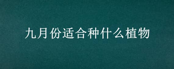 九月份适合种什么植物 九月份适合种的植物