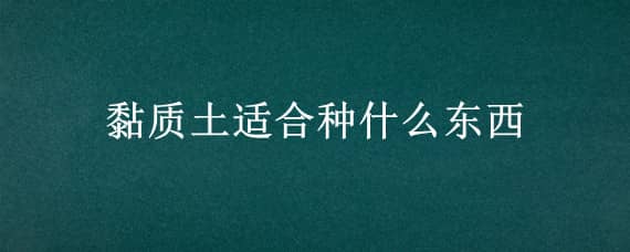 黏质土适合种什么东西（黏质土可以种什么）