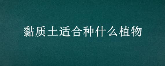 黏质土适合种什么植物 黏质土最适合种什么植物