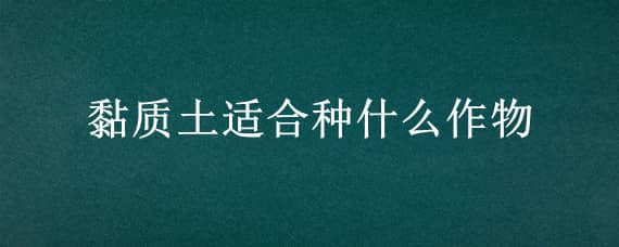 黏质土适合种什么作物（黏质土可以种什么植物）