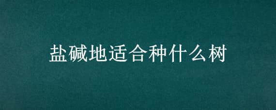 盐碱地适合种什么树 盐碱地适合种啥树