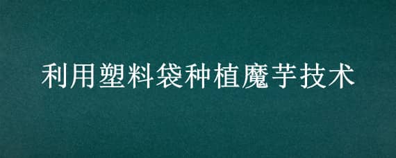 利用塑料袋种植魔芋技术 利用塑料袋种植魔芋技术论文