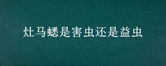 灶马蟋是害虫还是益虫（灶马蟋用哪种杀虫剂）