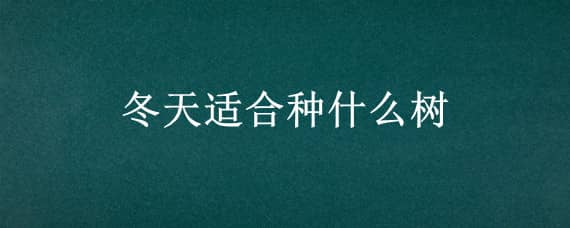 冬天适合种什么树（冬天适合种什么树能活）