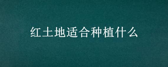 红土地适合种植什么（红土地适合种植什么农作物）