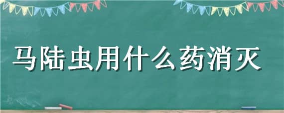 马陆虫用什么药消灭（消杀马陆虫的药）