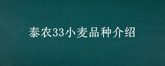 泰农33小麦品种介绍（泰科32小麦种）