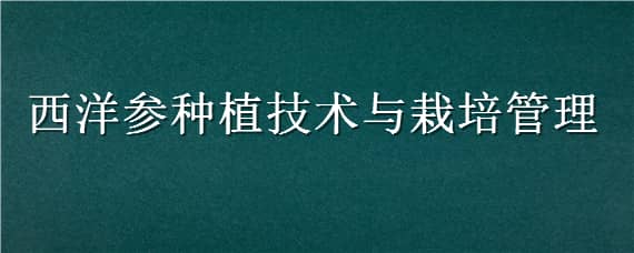 西洋参种植技术与栽培管理 西洋参的栽培与管理技术