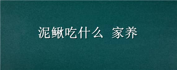 泥鳅吃什么家养（泥鳅吃什么家养长得快）