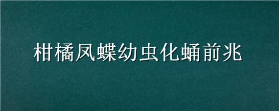 柑橘凤蝶幼虫化蛹前兆（柑橘凤蝶幼虫什么时候化蛹）