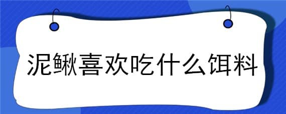 泥鳅喜欢吃什么饵料（泥鳅最喜欢吃什么饵料）