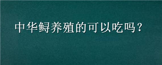 中华鲟养殖的可以吃吗 中华鲟人工养殖的可以吃吗