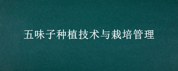 五味子种植技术与栽培管理（五味子种植技术与栽培管理视频）