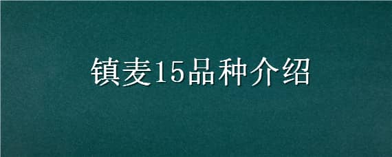 镇麦15品种介绍 镇麦15品种特征特性